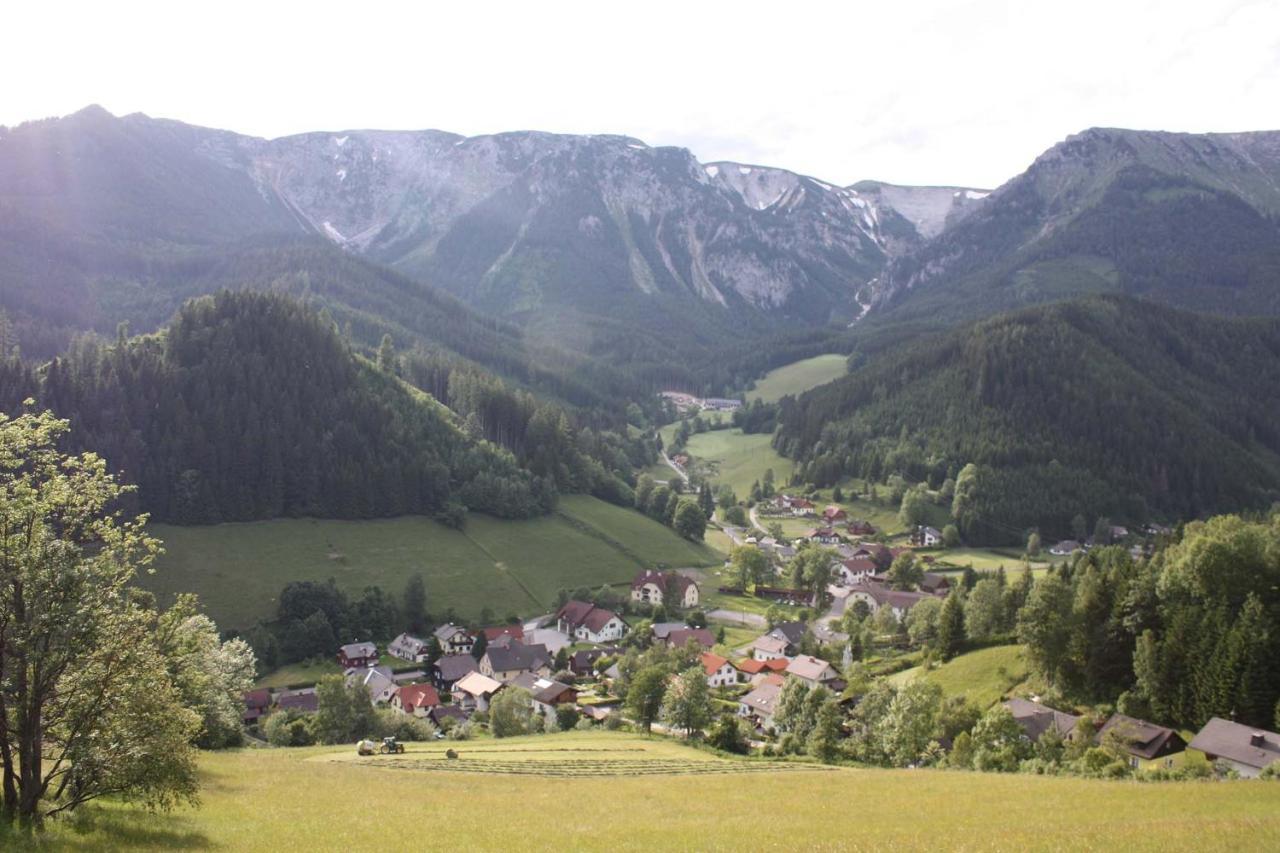 Altenbergerhof Neuberg an der Mürz 外观 照片